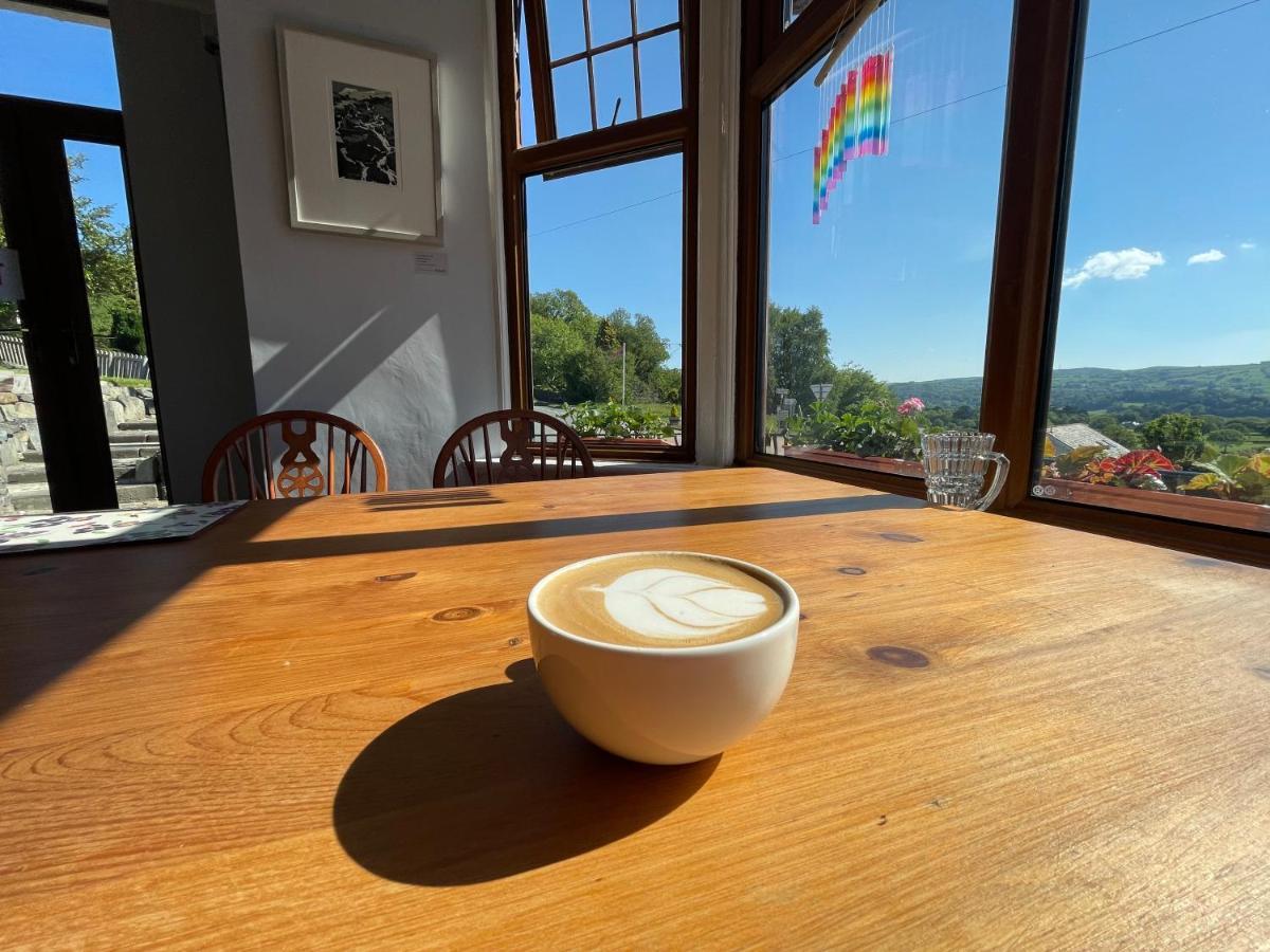 Bed and Breakfast Y Llew Coch Conwy Exterior foto