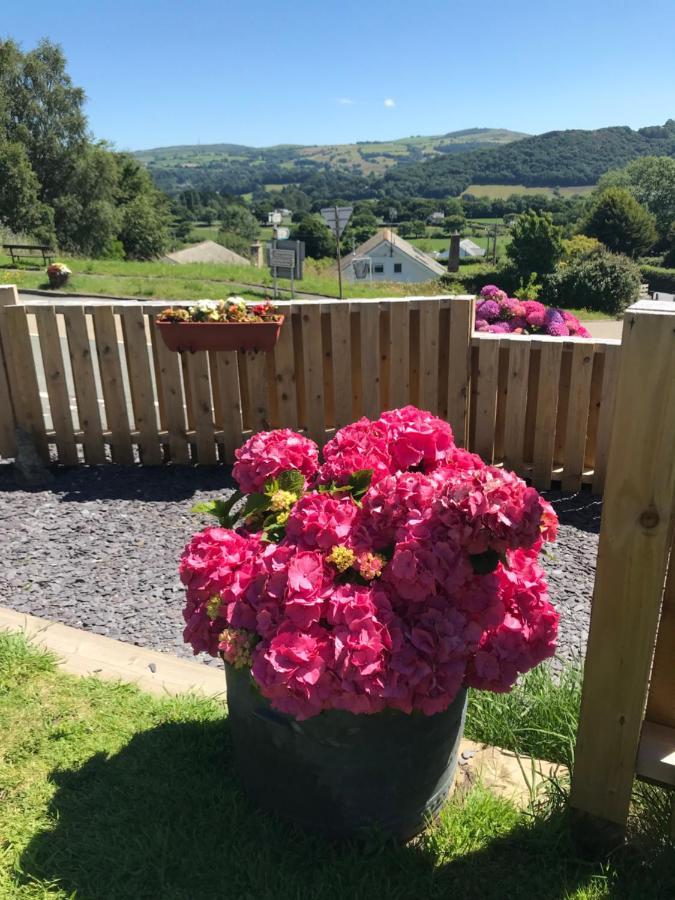 Bed and Breakfast Y Llew Coch Conwy Exterior foto